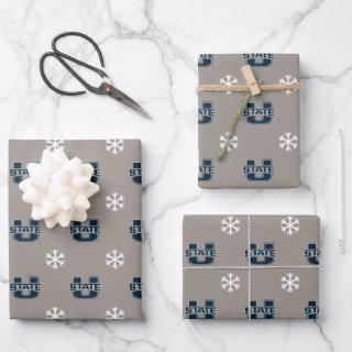 Utah State University Pewter Snowflake Pattern  Sheets