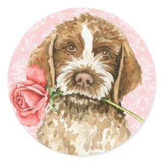 Valentine Rose Griffon Classic Round Sticker