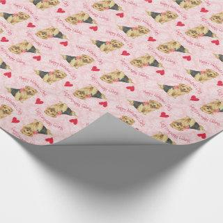 Valentine Rose Norfolk Terrier