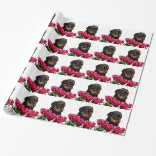 Valentine Rose Rottweiler Puppy