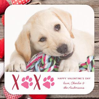 Valentines Day XOXO Cute Pet Puppy Dog Photo Square Sticker