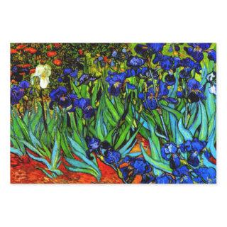 Van Gogh painting, Irises,  Sheets