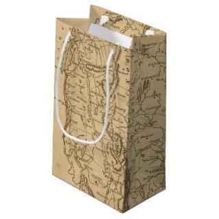 Vermont 5 small gift bag