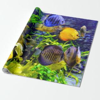 Vibrant Colorful Aquatic Tropical Sea Fish
