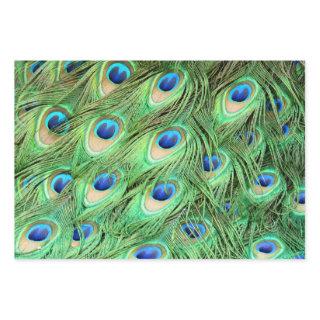 Vibrant Exotic Peacock Feathers  Sheets