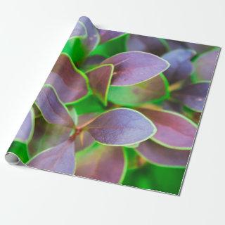 Vibrant green and purple leaves