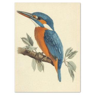 Vibrant Kingfisher Watercolor Decoupage Bird Print Tissue Paper
