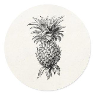 Vintage 1800s Pineapple Illustration Pineapples Classic Round Sticker