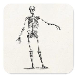 Vintage 1800s Skeleton Retro Anatomy Skeletons Square Sticker