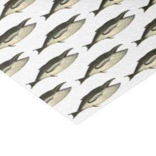 Vintage 19th Century Whale #2 Drawing Tissue Paper