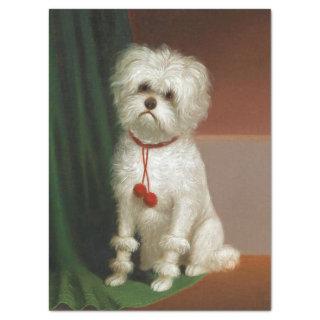 Vintage Adorable White Dog Portrait Tissue Paper