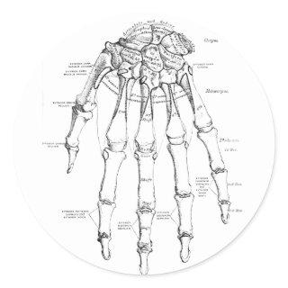 Vintage Anatomy | Bones of the Hand Classic Round Sticker