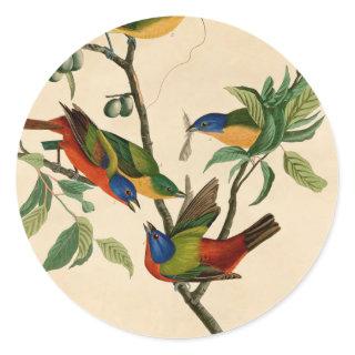 Vintage Audubon Painting Bunting Bird Painting  Classic Round Sticker