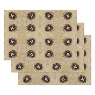 Vintage Bird Nest Old Antique Brown Eggs  Sheets