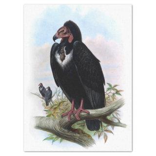Vintage Black Vulture Bird Decoupage Tissue Paper