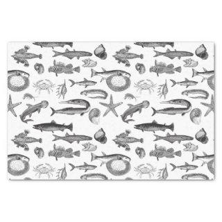 Vintage Black & White Line Art Sea Creatures  Tissue Paper