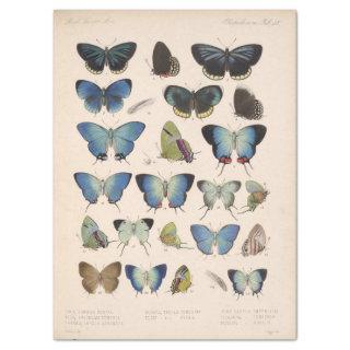 Vintage Blue Butterflies Ephemera Decoupage Teal T Tissue Paper