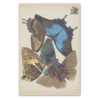 Vintage Blue Butterfly Ephemera Decoupage Script T Tissue Paper