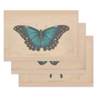 Vintage Blue Butterfly Heavy Weight Decoupage  Sheets