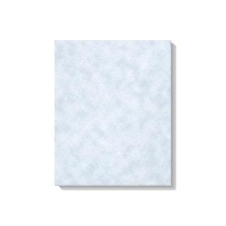 Vintage Blue Gray Parchment Look Texture Canvas Print