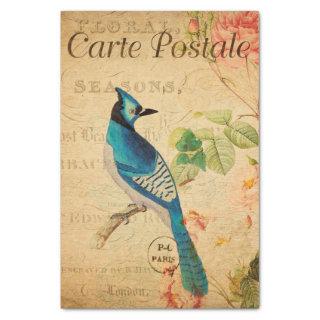 Vintage Blue Jay Bird Floral Flowers French Tissue Paper