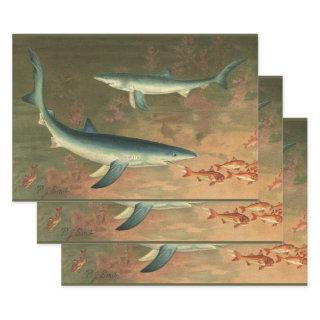 Vintage Blue Shark Eating Fish, Marine Life  Sheets