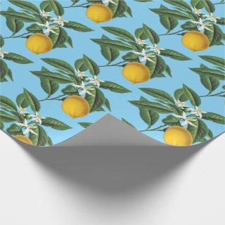 Vintage Botanical Lemon Fruit Blossom Blue