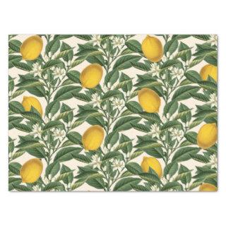 Vintage Botanical Lemon Fruit Blossom Pattern  Tissue Paper