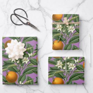 Vintage Botanical Orange Fruit Blossom Lavender  Sheets