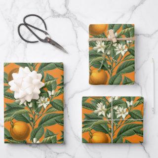 Vintage Botanical Orange Fruit Blossom Pattern  Sheets