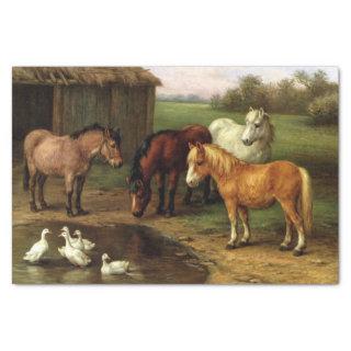 Vintage Brown White Horse And Ducks Farm Animals Tissue Paper