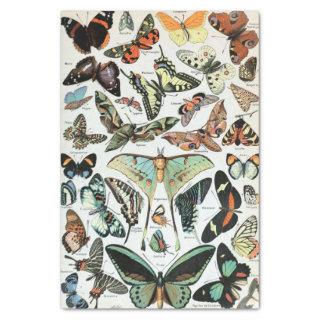 Vintage Butterflies of the World Tissue Paper