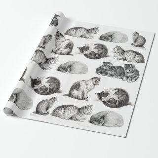 Vintage Cat Sketch Kitten Pattern Collage