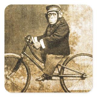 Vintage Chimpanzee on a Bicycle Square Sticker