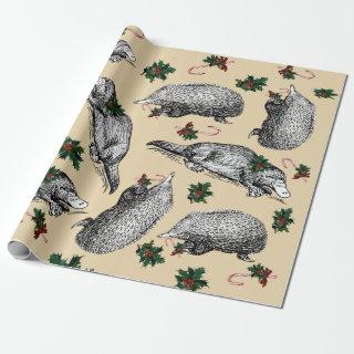 Vintage Christmas Platypus & Echidna of Australia