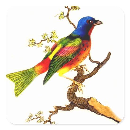 Vintage Colorful Bird on Branch Design Square Sticker