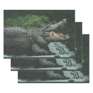 Vintage Crocodile Reptiles, Marine Animal Life  Sheets