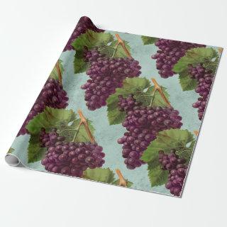 Vintage Dark Purple Grapes and Vines