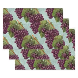 Vintage Dark Purple Grapes and Vines  Sheets