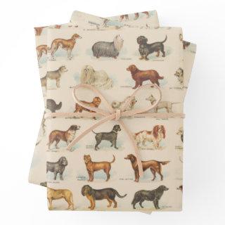 Vintage Dog Breed Drawings Patterned  Sheets