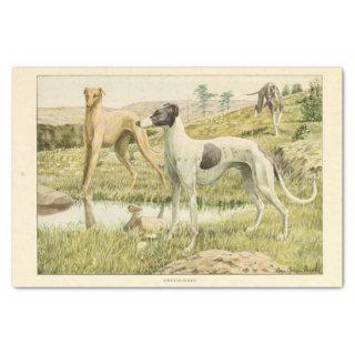 Vintage Dog Ephemera Decoupage Grey Hounds Tissue Paper