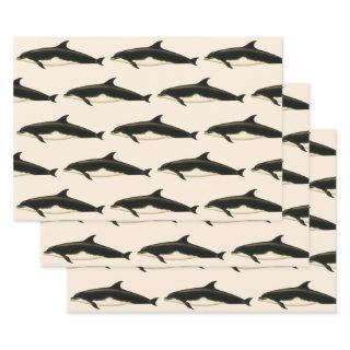 Vintage Dolphins Delphinus Tursio, Marine Mammals  Sheets