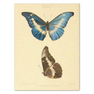 Vintage Ephemera Script Blue Butterfly Decoupage Tissue Paper