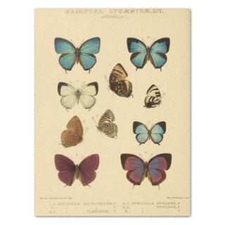 Vintage Ephemera Script Blue Butterfly Decoupage Tissue Paper