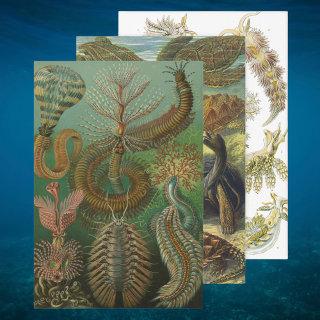 Vintage Ernst Haeckel Marine Life Designs  Sheets