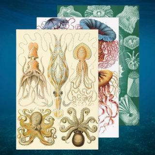 Vintage Ernst Haeckel Marine Life Designs  Sheets