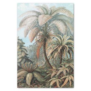 Vintage Ernst Haeckel Palm Trees Poster Tissue Paper