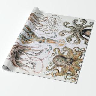 Vintage Ernst Haeckel Squids and Octopus Poster