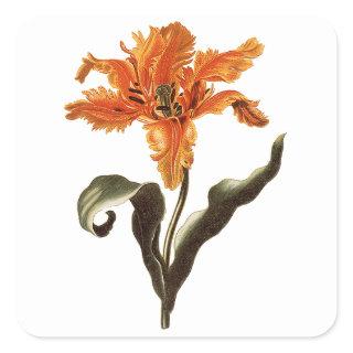 Vintage Fancy Orange Lily in Bloom, Garden Flowers Square Sticker