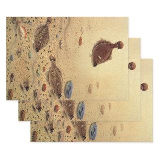 Vintage Flounders, Marine Ocean Life Flat Fish  Sheets